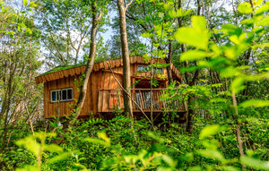 Holiday Home - Hoogersmilde , Holland - HDR109 1