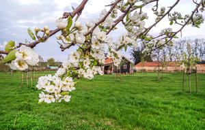 Holiday Home - Grashoek , Holland - HLI131 1