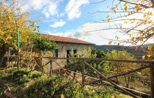 Holiday Home - Laureana Cilento , Italy - IKC100 1