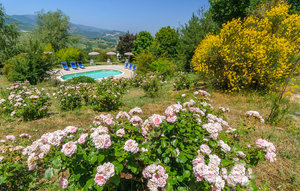 Holiday Home - Cagli , Italy - IMM165 1