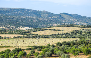 Holiday Home - Ragusa , Italy - ISR359 1