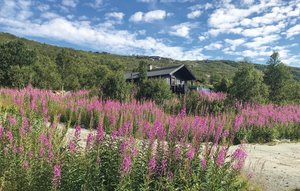 Holiday Home - Vøringsfoss/Maurseth , Norway - N19134 1