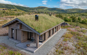 Holiday Home - Maurset/Eidfjord , Norway - N19489 1