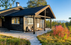 Feriehuse - Rendalen , Norge - N30269