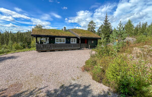 Holiday Home - Birkenåsen/Rena , Norway - N30062 1