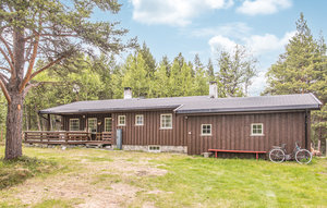 Holiday Home - Savalen , Norway - N30069 1