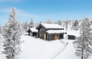 Holiday Home - Savalen , Norway - N30173 1