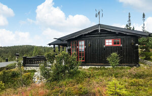Holiday Home - Engerdal, Østfjell , Norway - N30252 1