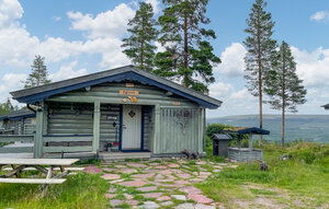 Holiday Home - Ljørdal/Trysil , Norway - N30287 1