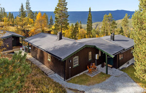Holiday Home - Renåfjellet, Rendalen , Norway - N30305 1