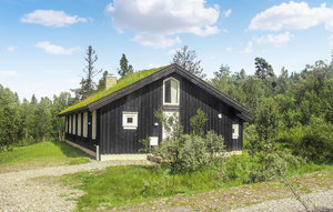 Holiday Home - Gålå , Norway - N31212 1