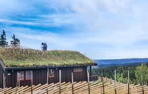 Holiday Home - Skeikampen , Norway - N31287 1