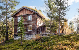 Holiday Home - Bjorli , Norway - N31339 1