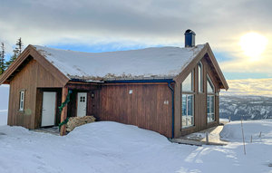 Holiday Home - Valdres , Norway - N31378 1