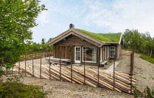 Holiday Home - Sør Fron , Norway - N31539 1