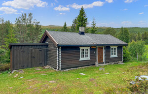 Holiday Home - Horgen/Sel/Otta , Norway - N31579 1