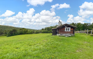 Holiday Home - Horgen/Sel/Otta , Norway - N31580 1