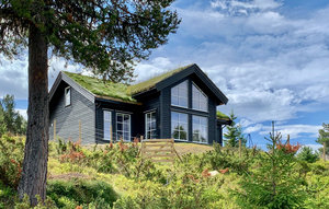 Holiday Home - Kvamsfjellet/ Nord Fron , Norway - N31595 1