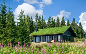 Holiday Home - Hafjell , Norway - N31624 1