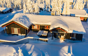 Holiday Home - Kvam/ Nord Fron , Norway - N31640 1