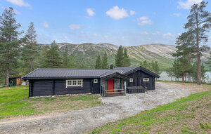 Holiday Home - Skjåk , Norway - N31654 1