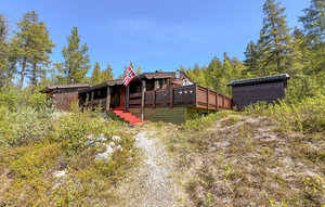 Holiday Home - Skjåk , Norway - N31658 1