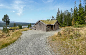 Holiday Home - Gålå , Norway - N31660 1