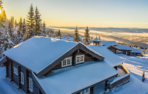 Holiday Home - Hafjell , Norway - N31689 1