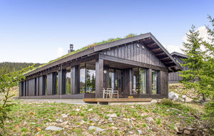 Holiday Home - Hafjell , Norway - N31696 1