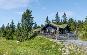 Holiday Home - Sjusjøen , Norway - N31729 1