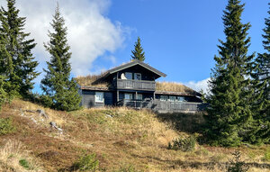 Holiday Home - Sjusjøen , Norway - N31741 1