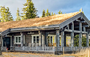 Holiday Home - Sjusjøen , Norway - N31744 1
