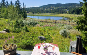 Holiday Home - Sjusjøen/Nordseter , Norway - N31747 1