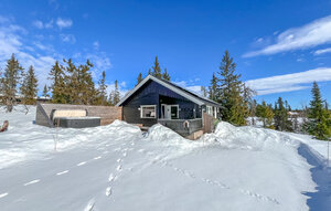 Holiday Home - Sjusjøen , Norway - N31754 1