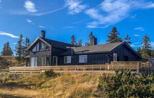 Holiday Home - Sjusjøen , Norway - N31758 1
