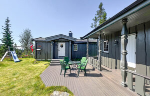 Holiday Home - Sjusjøen , Norway - N31764 1