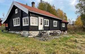 Holiday Home - Mesnalia , Norway - N31767 1