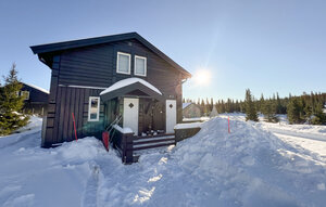 Holiday Home - Sjusjøen , Norway - N31774 1