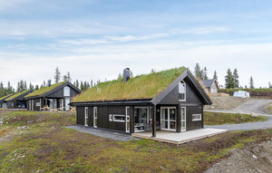 Holiday Home - Sjusjøen , Norway - N31776 1