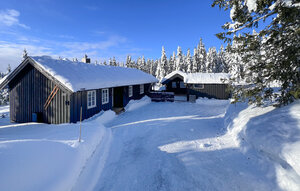 Holiday Home - Sjusjøen , Norway - N31780 1