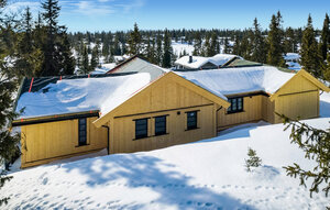 Holiday Home - Sjusjøen , Norway - N31781 1