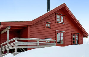 Holiday Home - Nordseter/ Sjusjøen , Norway - N31782 1