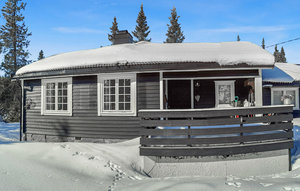 Holiday Home - Nordseter , Norway - N31806 1