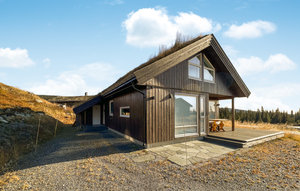 Holiday Home - Nordseter/Lillehammer/Sjusjøen , Norway - N31807 1