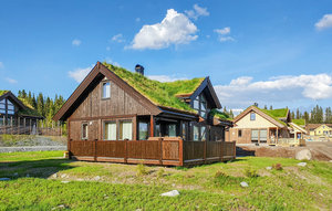 Holiday Home - Sjusjøen , Norway - N31813 1
