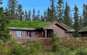 Holiday Home - Sjusjøen , Norway - N31821 1