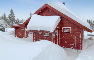 Holiday Home - Nordseter/Lillehammer/Sjusjøen , Norway - N31835 1
