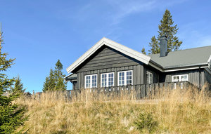 Holiday Home - Sjusjøen , Norway - N31838 1