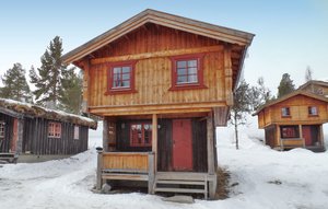 Holiday Home - Ringebu , Norway - N31861 1