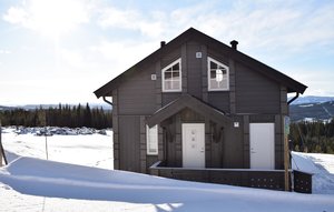 Holiday Home - Sjusjøen , Norway - N31872 1